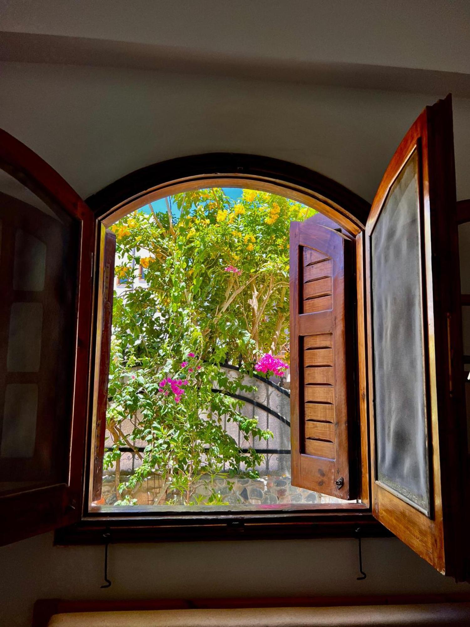 Rafiki Hostels - ดาฮับ ภายนอก รูปภาพ